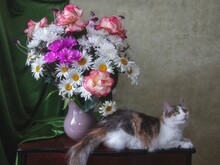 Pretty Tricolor Kitty And Splendid Bouquet Of Flowers