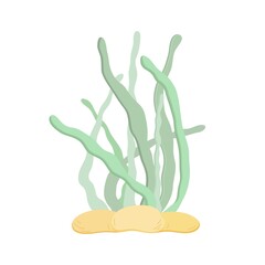 Sea weed cute wildlife vector illustration, underwater sea plants cartoon image for kids, marine life simple hand drawn image