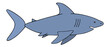 Shark. Color vector illustration. Large predatory marine fish. An underwater monster with a toothy jaw. Isolated background. Cartoon style. Dangerous dweller of the deep. Idea for web design.