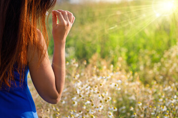 Wall Mural - A woman among chamomile flowers in an idyllic summer meadow. A woman touching nature.