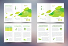 Cover Set Design Template Bookletv And Trifold Bio Eco Green Leaf Nature