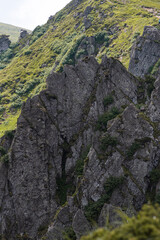 Mountain hiking. Beautiful mountain views. Coniferous forests and alpine meadows