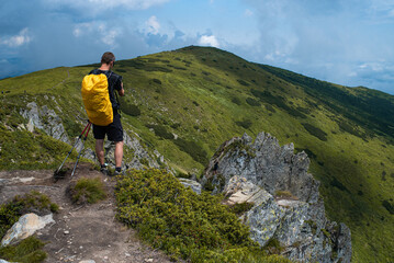 Mountain hiking. Beautiful mountain views. Coniferous forests and alpine meadows