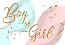 Boy Or Girl Hand Drawn Modern Lettering - Baby Shower Announcement Banner, Card - Gender Reveal Party - Vector Illustration Isolated