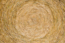 Yellow Hay Roll Close Up At The German Countryside
