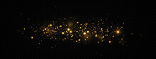 Beautiful Sparks Shine With Special Light. The Dust Sparks And Golden Stars Shine With Special Light. Christmas Abstract Stylish Light Effect.