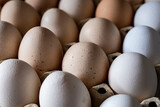Fototapeta Tulipany - Jajka, Kurze jajka, zdrowe jajka, Jajka w pojemniku, jajka od zdrowych kur, kury z wolnego wybiegu, kolorowe jajka, eggs, healthy eggs, 
