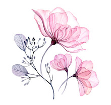 Transparent Floral Set Isolated Arrangement Of Big Pink Roses, Buds, Leaves, Branches In Pastel Grey, Violet, Purple, Vintage Ornament, Wedding Design, Stationery Card Print