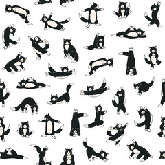 Wall Mural - Yoga cats vector seamless pattern