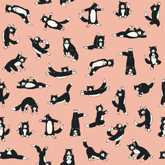 Wall Mural - Yoga cats vector seamless pattern