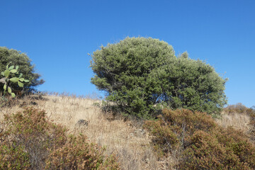 Poster - Paesaggio