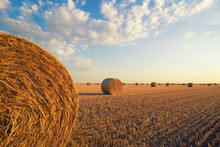 Hay Bales On Agriculture Field After Harvest On A Sunny Summer Day