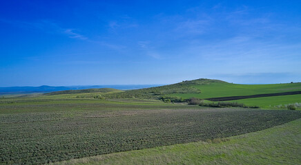 Aerial view of the green agricultural fields of a farm in early spring on a clear sunny day with blue skies. Agricultural and landscape aerial photography