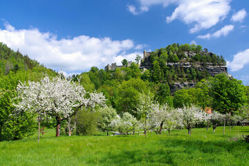 Sticker - Zittauer Gebirge, Oybin Kloster im Frühling mit blühenden Apfelbäumen - Zittau Mountains, the Oybin monastery in spring with apple trees