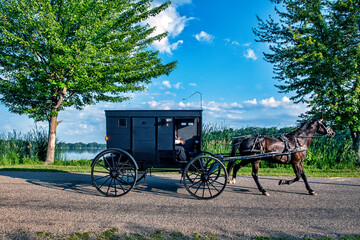 Sticker - Amish Buggy on rural Indiana road in summer.