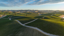 Large Vineyard Over Rolling Hills Of Paso Robles, California Shot From A Drone Point Of View With Warm Sunset And Contrasting Shadows.