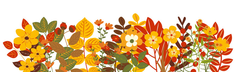 Wall Mural - autumn flowers, plants, leaves white background