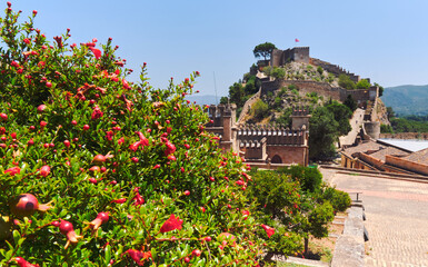 Wall Mural - Picturesque view to spanish Xativa Castle. Spain