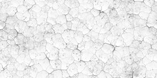 Seamless Broken Cracks Background Texture. Tileable Stained Peeling Paint Craquelure Crackle Pattern Greyscale Grunge Overlay. Barren Drought Concept Wallpaper Or Dry Desert Backdrop. 3D Rendering..