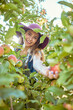 © Jade Maas/peopleimages.com - Portrait of one happy woman reaching to pick fresh red apple from trees on sustainable orchard farmland outside on sunny day. Cheerful farmer harvesting juicy organic fruit in season to eat
