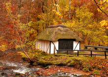 A Cottage In The Countryside In Autumn Landscape Beside A River In Europe. Peaceful And Quiet Nature Scene Of Rustic Barn Or Boathouse Near Calm Water And Changing Season Of Red And Yellow Leaves