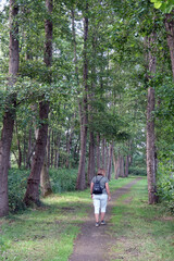 Poster - Weg am Balksee