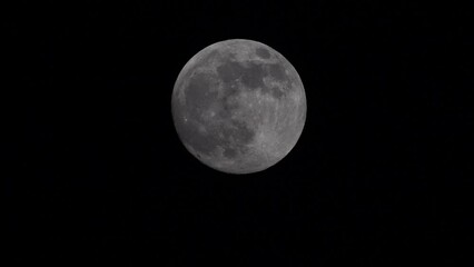 Wall Mural - Full Moon On Dark Night, shines in the sky without clouds. Closeup shot of the Full moon moving across the sky