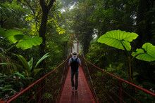 Backpacker Walking On A Suspension Bridge In The Rainforest
