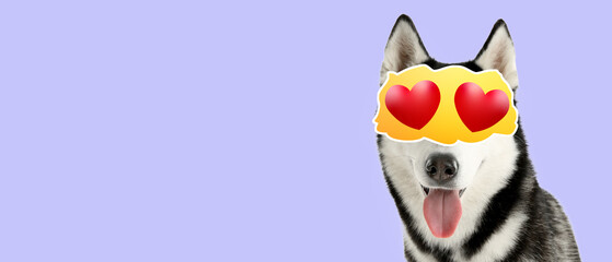 Wall Mural - Adorable husky dog with hearts instead of eyes on lilac background with space for text