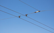 Trolley Bus Wires Against The Blue Sky