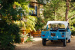 une voiture garée sous un palmier dans un joli jardin. Une jolie Citroën méhari bleue stationnée devant une maison.