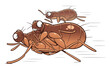 Defeated cartoon fleas running away from healthy pets. Cartoon flea series.