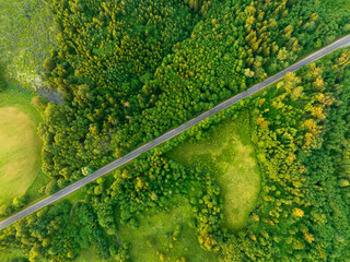 Highway through forest with pine trees and lakes, aerial view. Road with forrest trees and car. Forest road for transpotrs. Aerial above view of freeway. Asphalt road, top view.