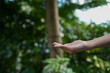 © panomporn - Technology,   Hands holding  globe of tropical nature summer background,