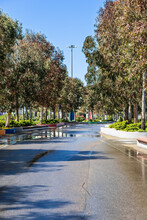 Wet Paved Alley With Trees Along In A Spacious Park. Spring South Park After The Rain.