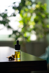 Marijuana cbd oil stands on a dark wood table, next to two dry cannabis buds.  In the background is a ficus and home interior in blur