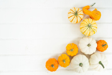 Wall Mural - pumpkin on table