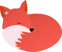 Red Fox Cartoon