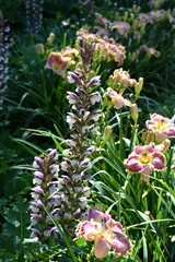 Sticker - Flowers in a Botanical Garden