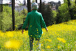 © Emrah - Yellow buttercup growing in forests and mountains in spring. The wonderful-looking buttercup is actually a type of poisonous flower. Arab woman in green dress walking in yellow flowers
