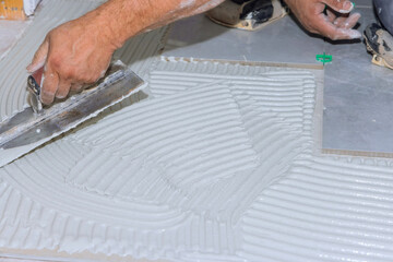 Canvas Print - Applying wet mortar to the floor of the bathroom before applying tiles makes adhesive with renovation works