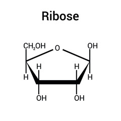 chemical structure of Ribose (C5H10O5)