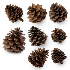 Wall Mural - Pine cones isolated on white background with clipping path.