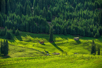 Sticker - landscape with cottages, grassland, forest and mountains