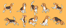 Set Of Beagle Dog In Different Poses. Small Hunting Dog With Brown-white Coat And Long Ears. Puppy With Cute Muzzle On Yellow Background