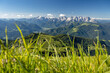 Idyllic summer landscape in Salzburger Land, Pinzgau, Salzburger Land, Austria, Europe