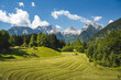 Idyllic summer meadow, in the background the Loferer Steinberge, Lofer, Pinzgau, Salzburger Land, Austria, Europe