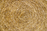 Fototapeta Desenie - Closeup of a Yellow Round Straw Bale background. Copy space fro your text.