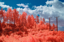 Infrared Landscape Ir Chrome Filter