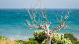 Fototapeta Fototapety z morzem do Twojej sypialni - Zatoka Anthony Quinn, Ladiko - wyspa Rodos